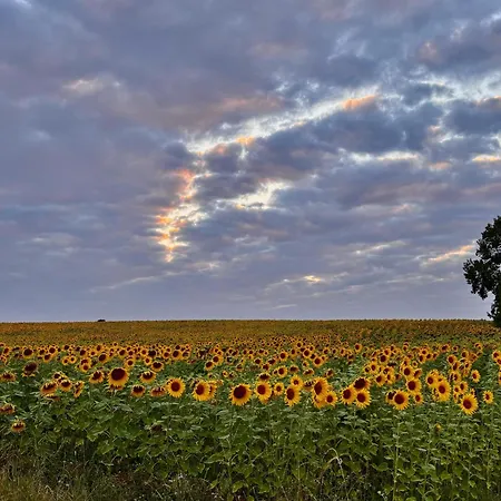La Longere Du Champ De La Villa Longeville-sur-Mer