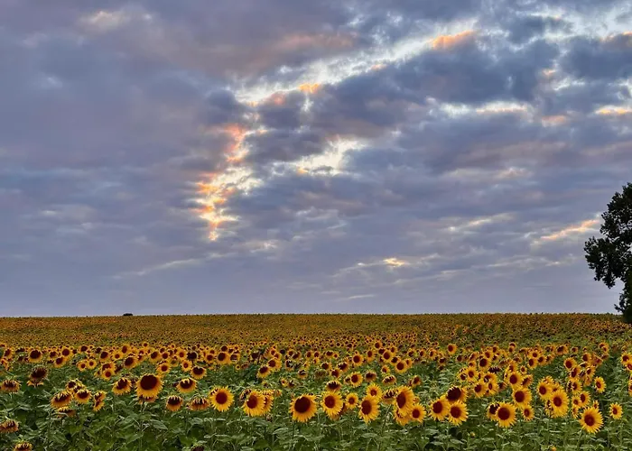 La Longere Du Champ De La Villa Longeville-sur-Mer