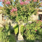 La Longere Du Champ De La Longeville-sur-Mer